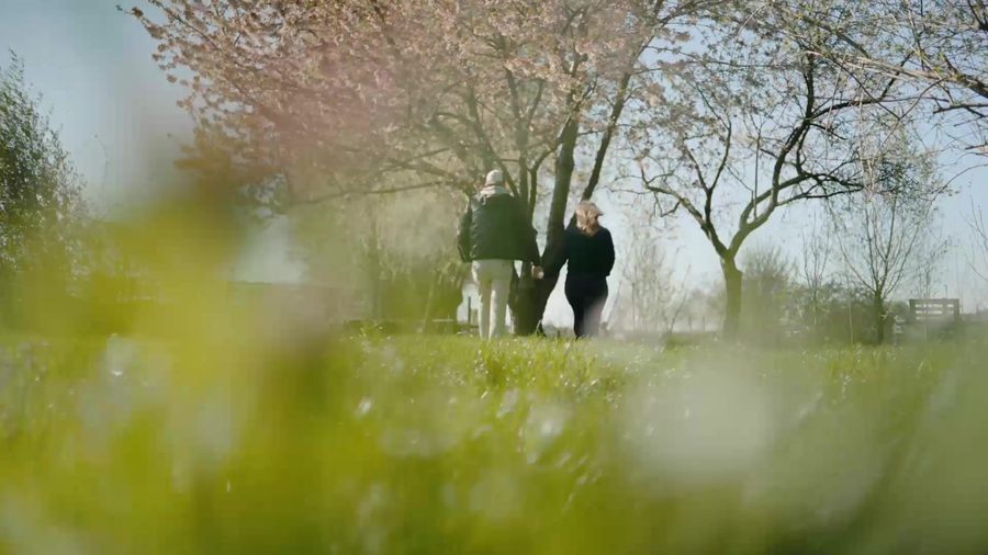 Spaziergang unter blühenden Bäumen am Hof